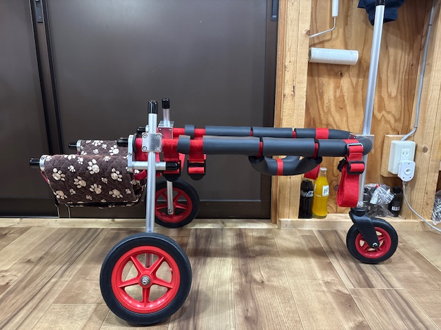 埼玉県の柴犬　さくらちゃんの車椅子