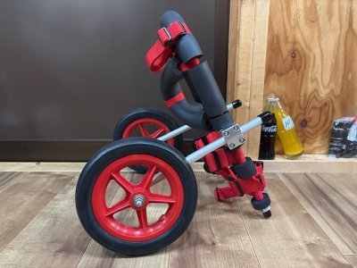 埼玉県のポメラニアン　ココちゃんの車椅子