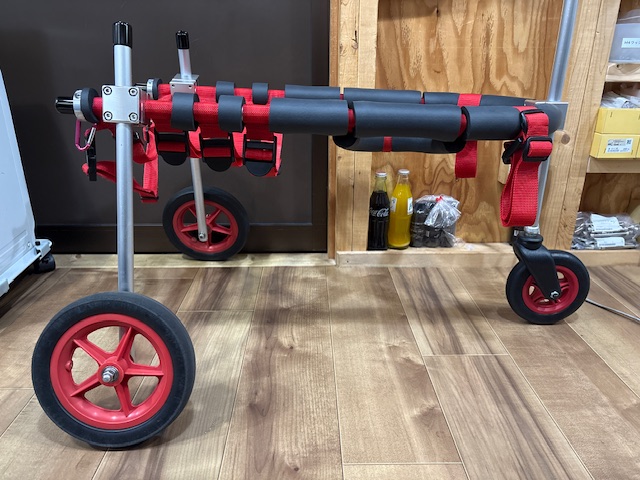 三重県のオーストラリアンキャトルドッグ　メリーちゃんの車椅子