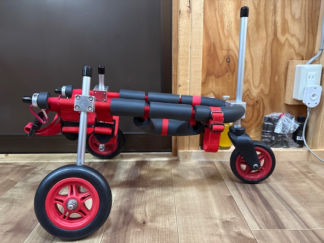 千葉県のケアーンテリア　信玄ちゃんの車椅子