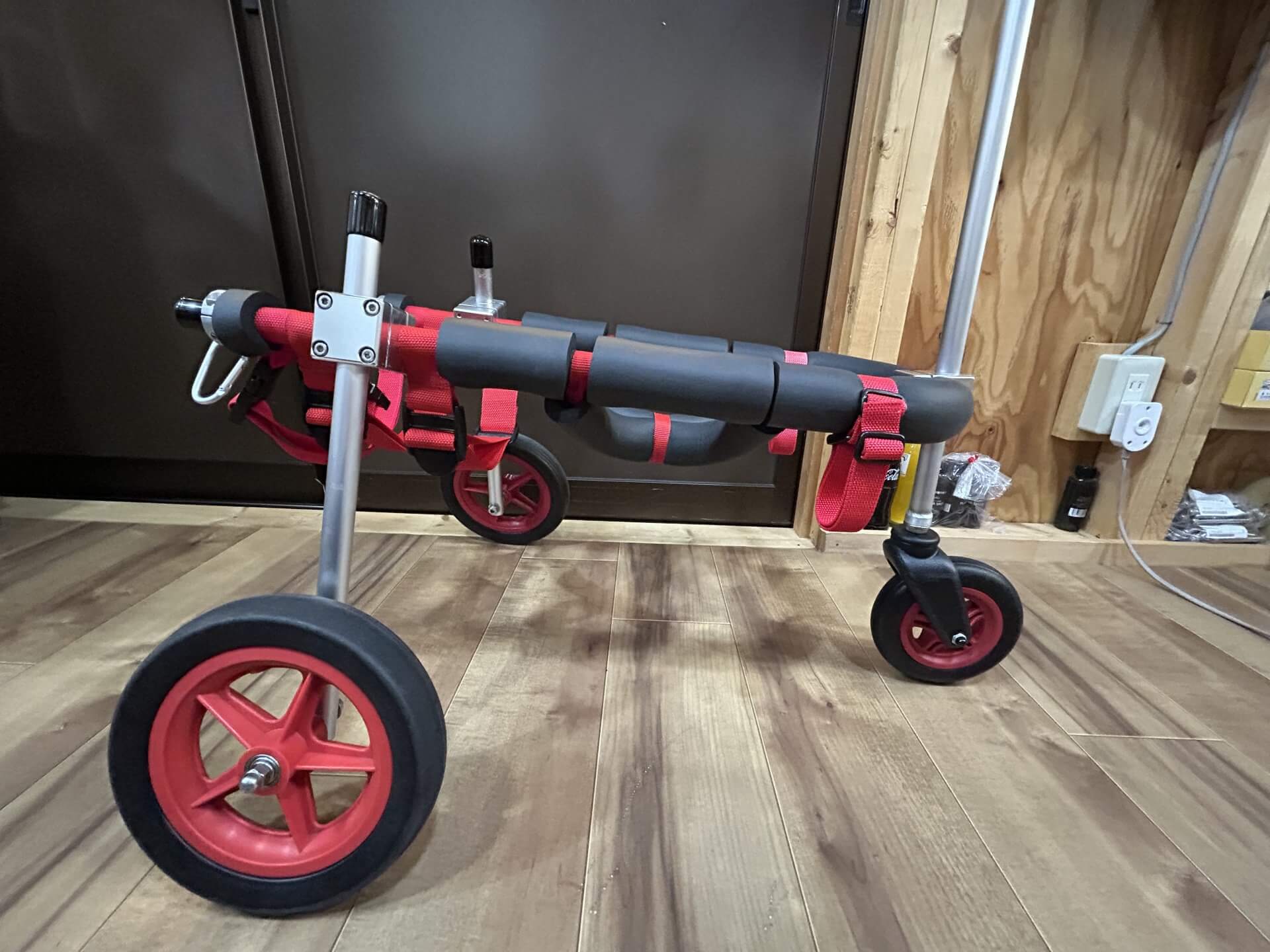 埼玉県の柴犬　カイちゃんの車椅子