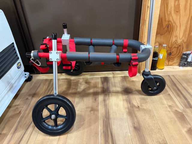 茨城県の中型犬　将大ちゃんの車椅子