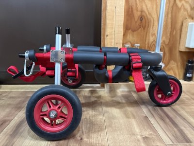 奈良県のミニチュアダックスフンド　ロムちゃんの車椅子