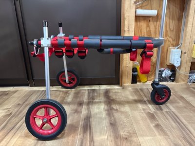 三重県の中型犬　鉄ちゃんの車椅子