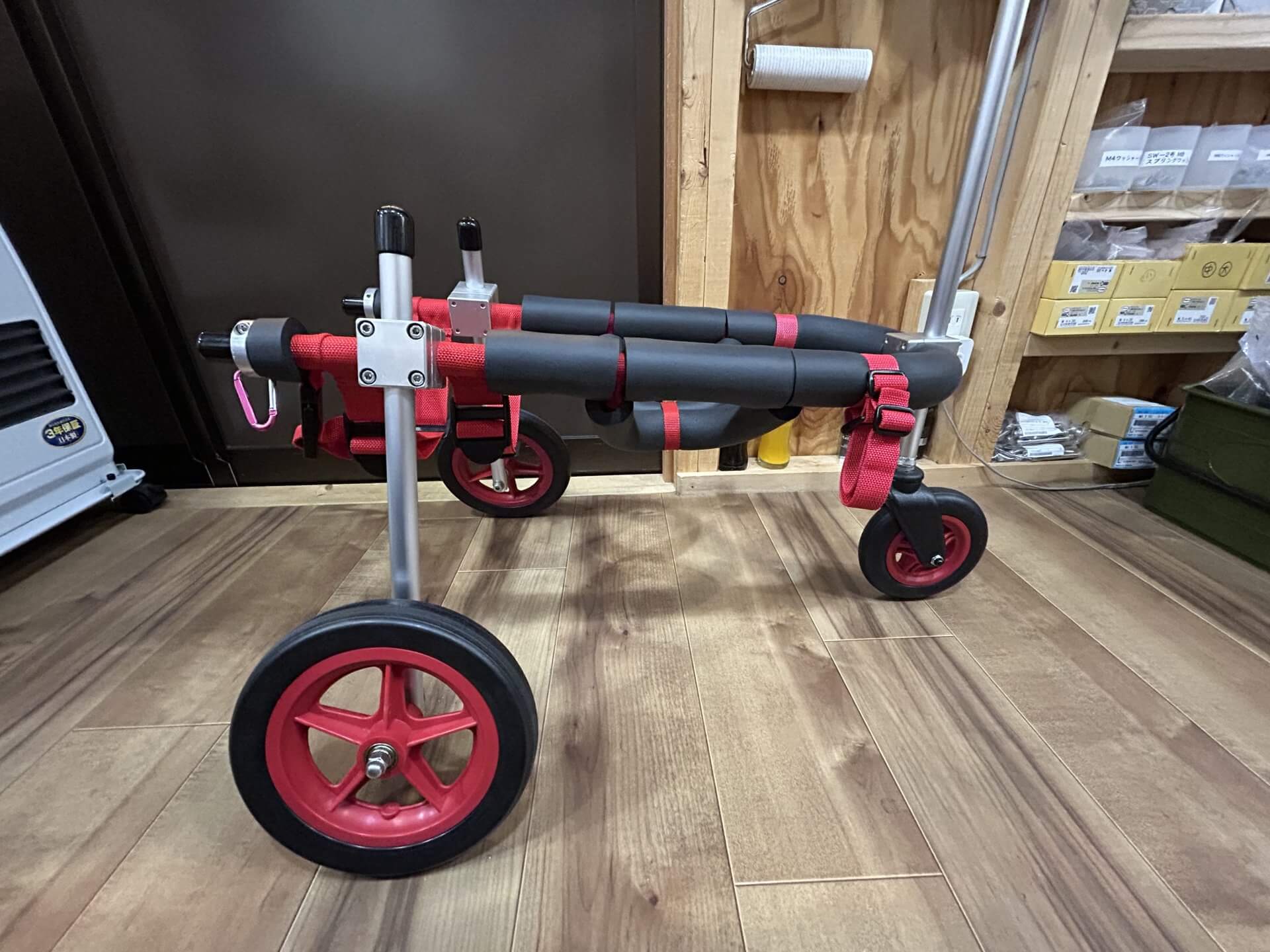 兵庫県の柴犬　レンちゃんの車椅子