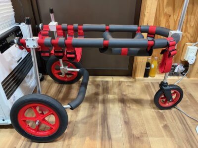 東京都のボクサー　パシャちゃんの車椅子