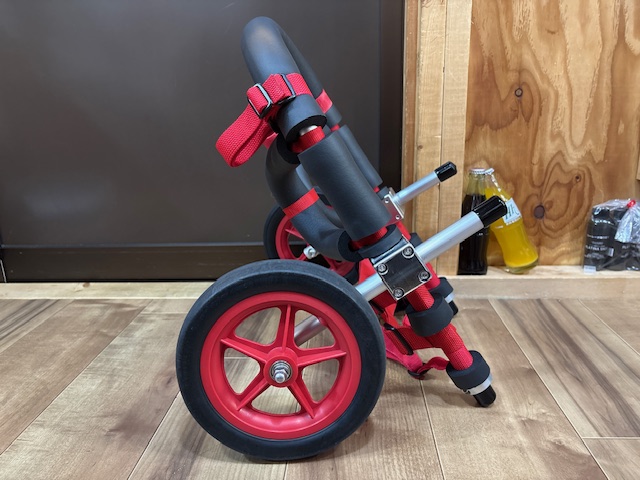 兵庫県のフレンチブルドッグ　ぷっぷちゃんの車椅子