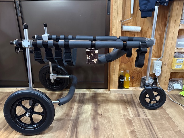 兵庫県のワイマラナー　ファルコンちゃんの車椅子