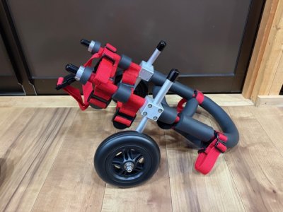 岩手県のミニチュアダックスフンド　レンちゃんの車椅子