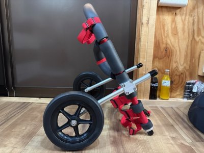 岐阜県のキャバリア　ミロちゃんの車椅子