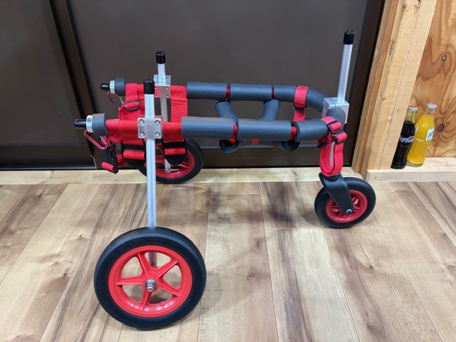 岐阜県の中型犬　ハッピーちゃんの車椅子