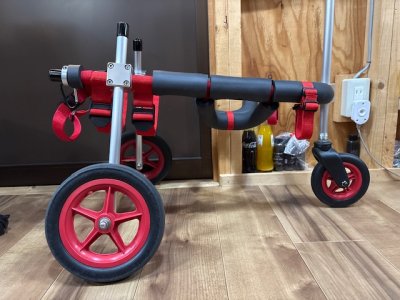 東京都の柴犬　リキちゃんの車椅子