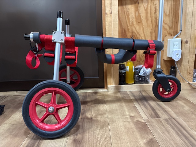 東京都の柴犬　リキちゃんの車椅子