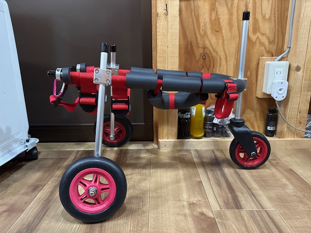 東京都のトイプードル　まさるちゃんの車椅子