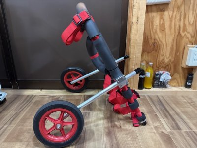 富山県のシベリアンハスキー　ジュエルちゃんの車椅子