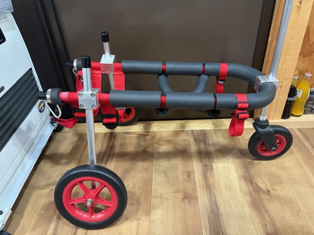 静岡県のキャバリア　ダニエルちゃんの車椅子