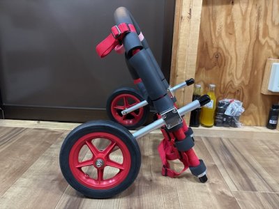 新潟県のフレンチブルドッグ　こたろうちゃんの車椅子