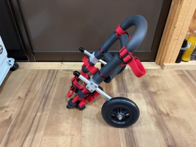 宮城県のチワックス　ゼアちゃんの車椅子