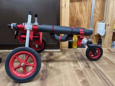 北海道のキャバリア　くぅちゃんの車椅子