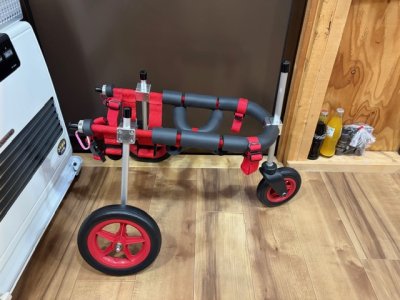 石川県のイタリアングレイハウンド　コッコロちゃんの車椅子