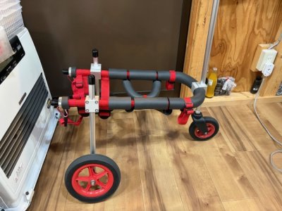 千葉県の柴犬　ももちゃんの車椅子