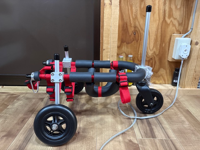 愛知県のミニチュアダックスフンド　サラちゃんの車椅子