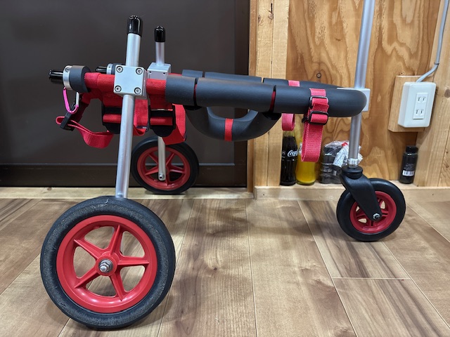 埼玉県の中型犬　しーちゃんの車椅子