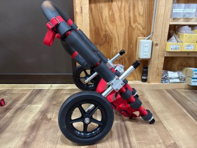 愛知県のコーギー　ノアちゃんの車椅子