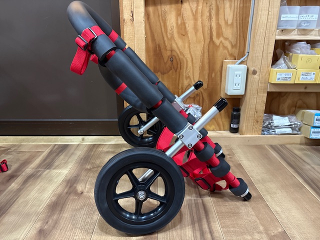 愛知県のコーギー　ノアちゃんの車椅子