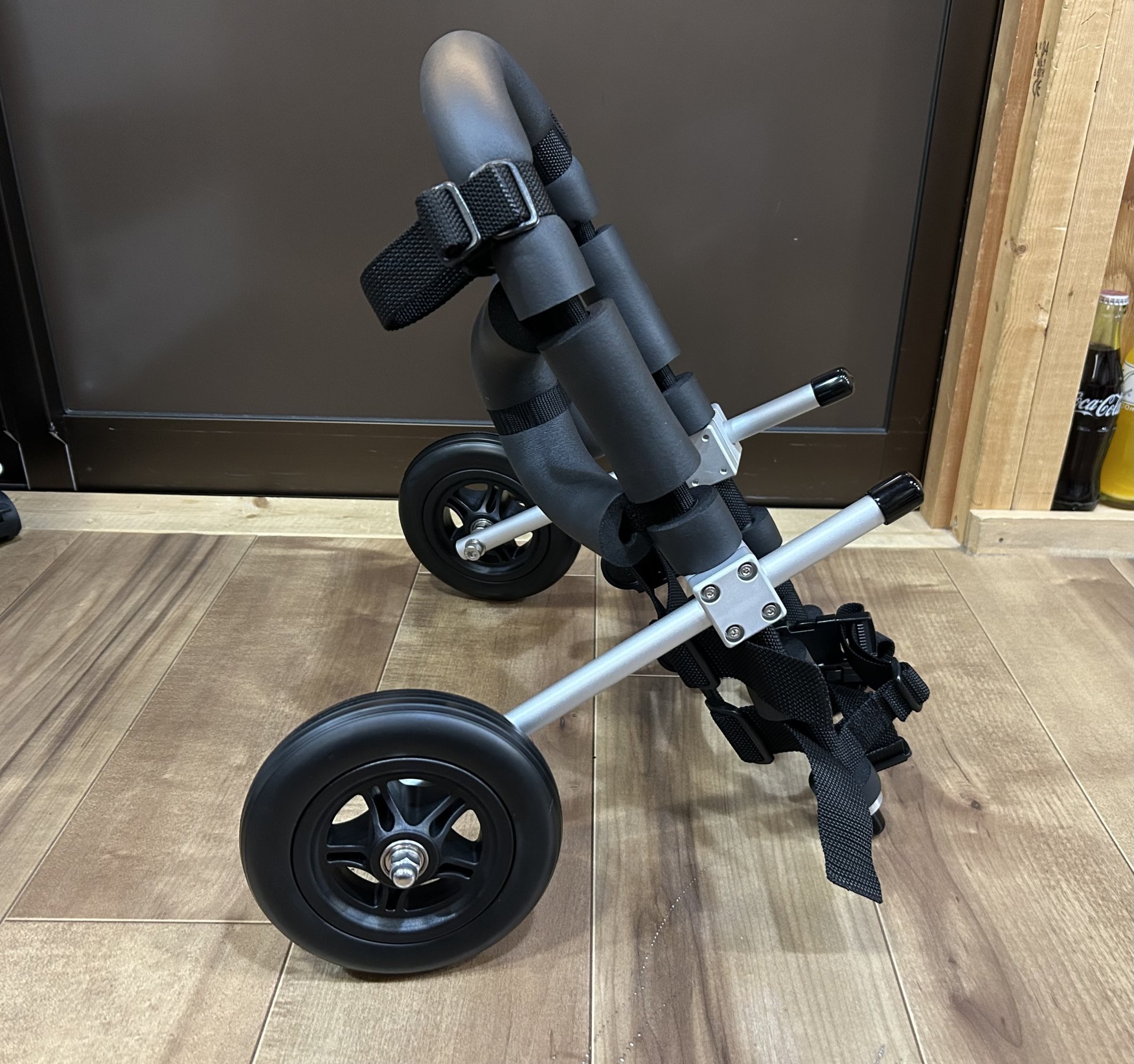 滋賀県のトイプードル　ラテちゃんの車椅子