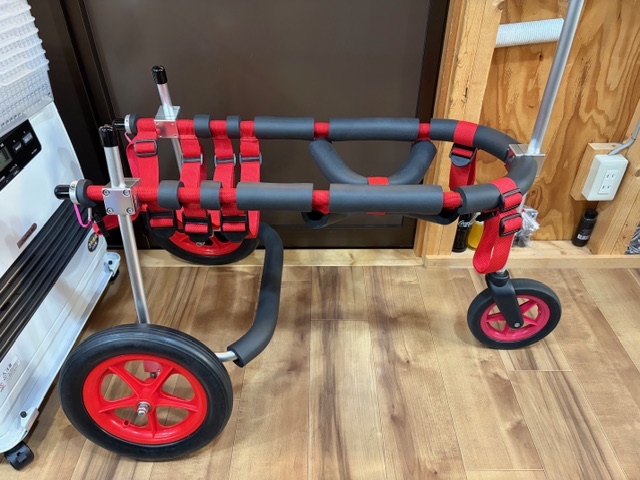 北海道のニュージーランドヘディングドッグ　リンネちゃんの車椅子