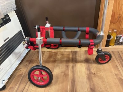 長崎県の中型犬　シロちゃんの車椅子