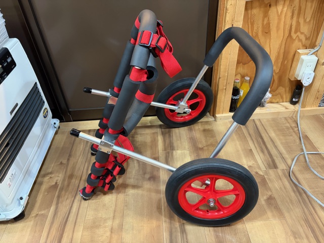 東京都のラブラドールレトリーバー　ファンちゃんの車椅子