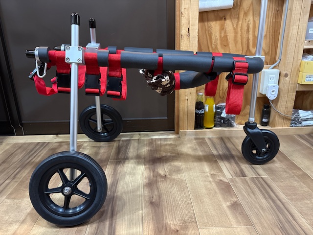 長野県の中型犬　おみそちゃんの車椅子