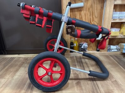 熊本県のジャーマンシェパード　はなちゃんの車椅子