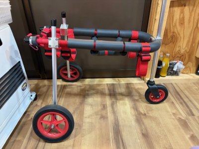 東京都のウィペット　ロアちゃんの車椅子