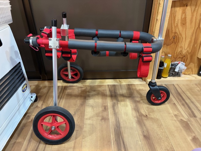 東京都のウィペット　ロアちゃんの車椅子