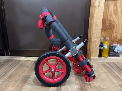 岩手県のコーギー　福ちゃんの車椅子