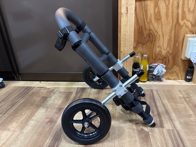 福井県のコーギー　りんどうちゃんの車椅子