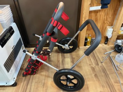 兵庫県のシェパード　セレナちゃんの車椅子