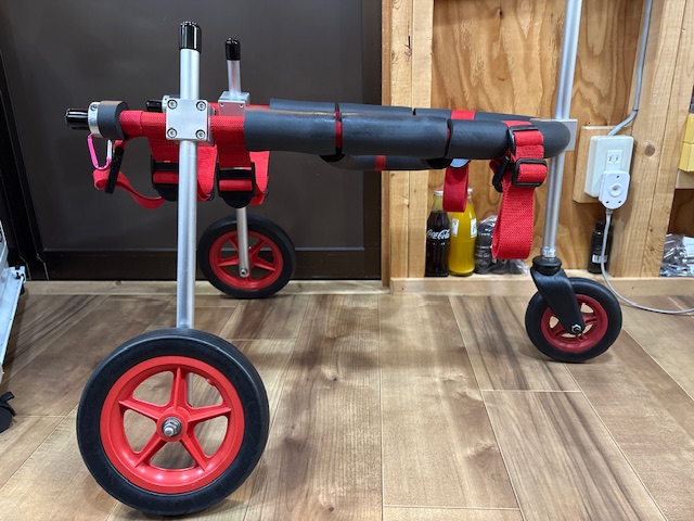 大阪府の中型犬　さくらちゃんの車椅子