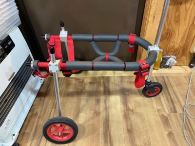 千葉県の中型犬　大地ちゃんの車椅子