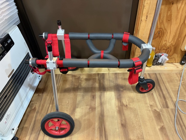 千葉県の中型犬　大地ちゃんの車椅子