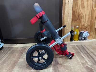 岐阜県のフレンチブルドッグ　シェリーちゃんの車椅子