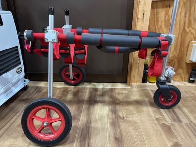 愛知県の中型犬　サムくんの車椅子