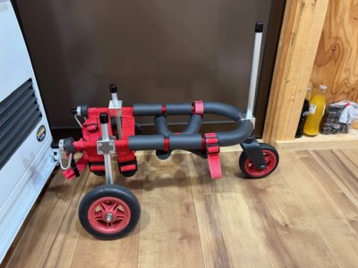 新潟県のミニチュアダックスフンド　ちょこちゃんの車椅子