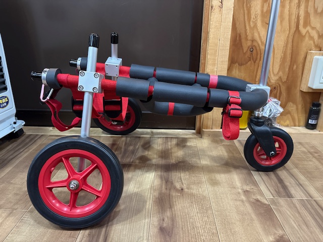 埼玉県のパグ　ゾロくんの車椅子