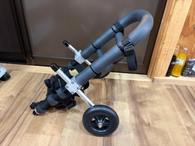 東京都のスタンダードダックスフンド　こーるちゃんの車椅子