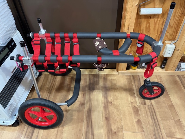 兵庫県のゴールデンレトリーバー　笑福ちゃんの車椅子