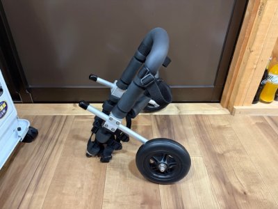 福島県のトイプードル　あむちゃんの車椅子